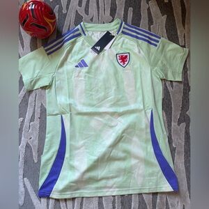 Adidas [M] Wales “Red Dragons” 2025 Soccer Away Women’s Jersey - Green JD7452